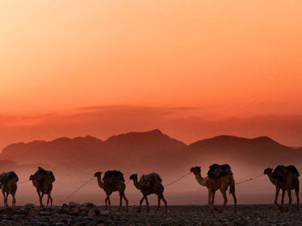 desert photo with nomads