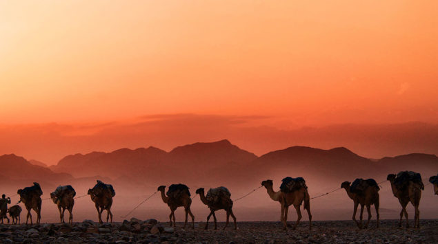 desert photo with nomads