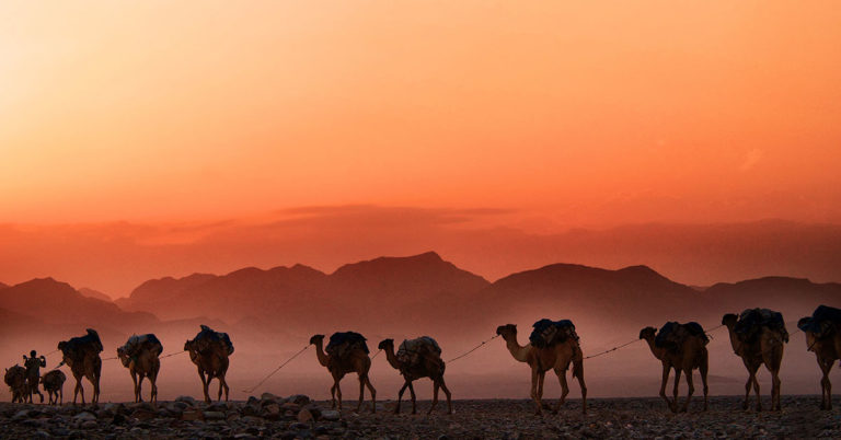 desert photo with nomads